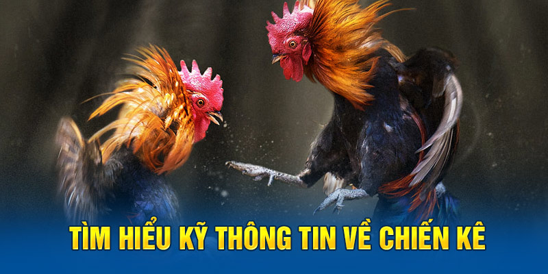 Hướng dẫn chi tiết cho người mới bắt đầu